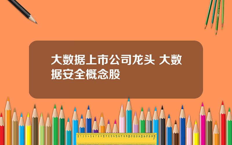 大数据上市公司龙头 大数据安全概念股